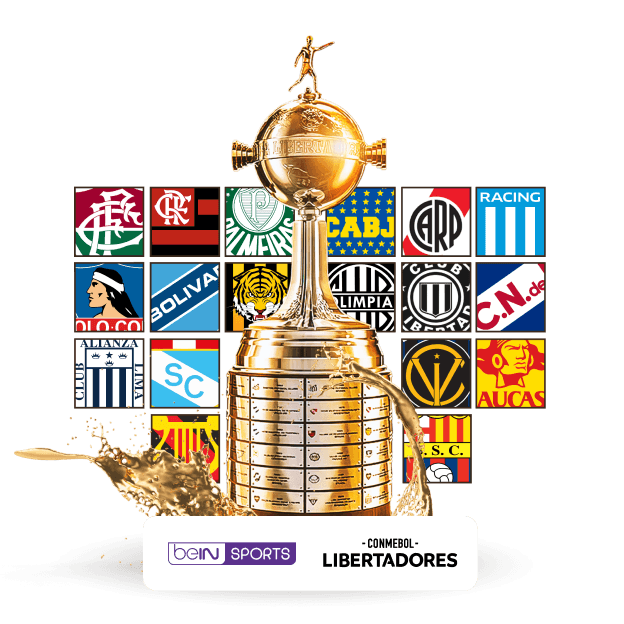 ¿Cómo ver la Copa Libertadores en vivo